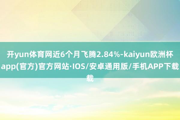 开yun体育网近6个月飞腾2.84%-kaiyun欧洲杯app(官方)官方网站·IOS/安卓通用版/手机APP下载