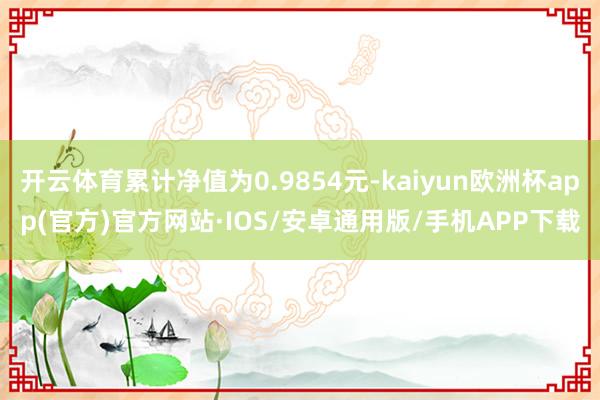 开云体育累计净值为0.9854元-kaiyun欧洲杯app(官方)官方网站·IOS/安卓通用版/手机APP下载