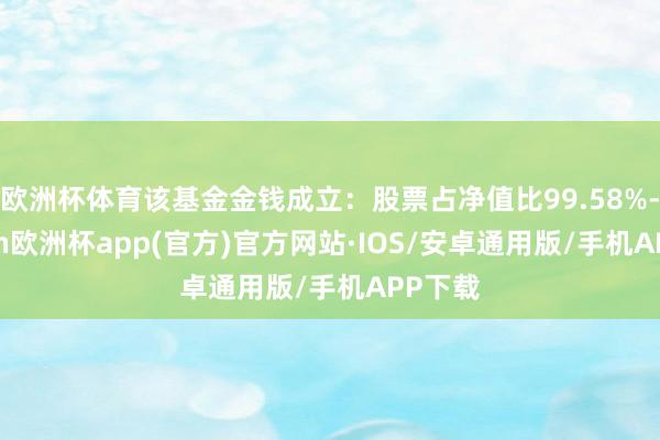 欧洲杯体育该基金金钱成立：股票占净值比99.58%-kaiyun欧洲杯app(官方)官方网站·IOS/安卓通用版/手机APP下载