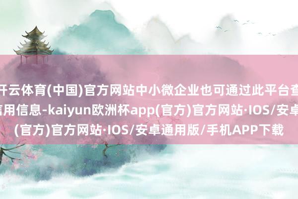 开云体育(中国)官方网站中小微企业也可通过此平台查询本企业的资金流信用信息-kaiyun欧洲杯app(官方)官方网站·IOS/安卓通用版/手机APP下载