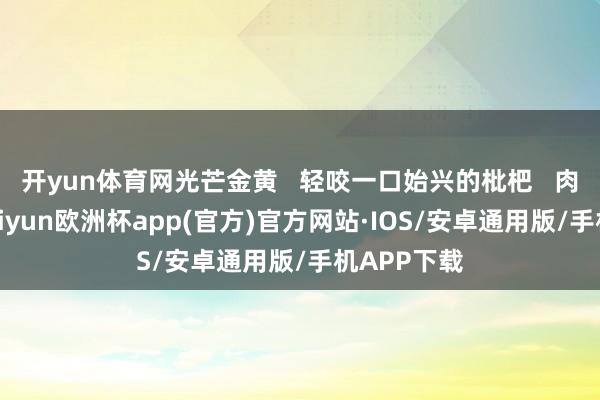 开yun体育网光芒金黄   轻咬一口始兴的枇杷   肉质细嫩-kaiyun欧洲杯app(官方)官方网站·IOS/安卓通用版/手机APP下载