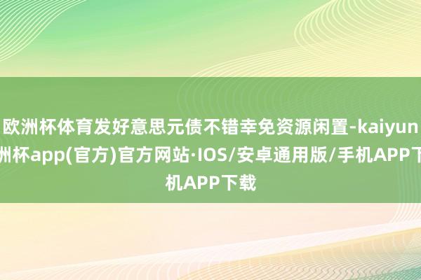 欧洲杯体育发好意思元债不错幸免资源闲置-kaiyun欧洲杯app(官方)官方网站·IOS/安卓通用版/手机APP下载