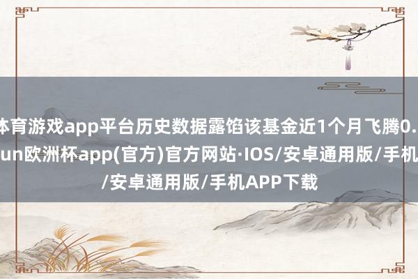 体育游戏app平台历史数据露馅该基金近1个月飞腾0.33%-kaiyun欧洲杯app(官方)官方网站·IOS/安卓通用版/手机APP下载