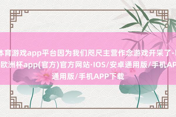 体育游戏app平台因为我们咫尺主营作念游戏开采了-kaiyun欧洲杯app(官方)官方网站·IOS/安卓通用版/手机APP下载